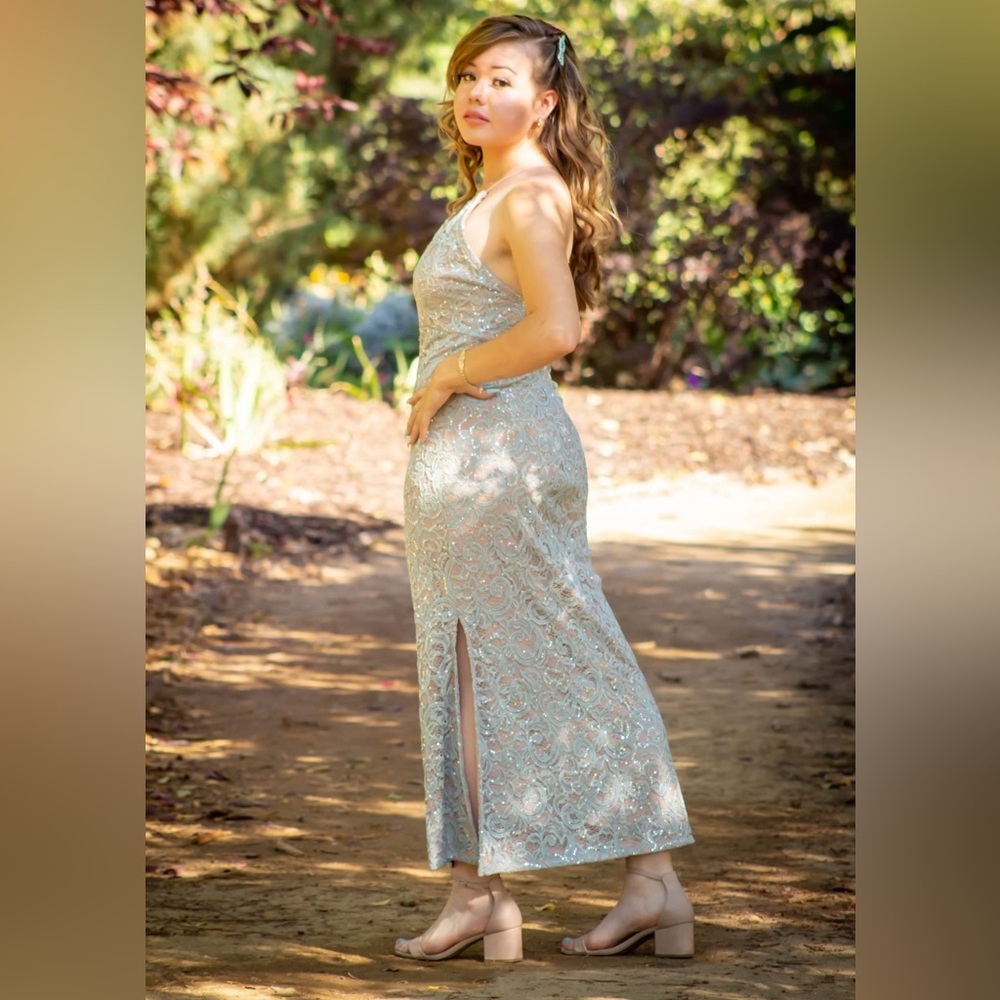 Elegant Silver Sequin Gown